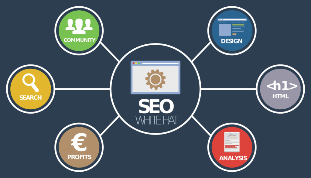  seo para mi web